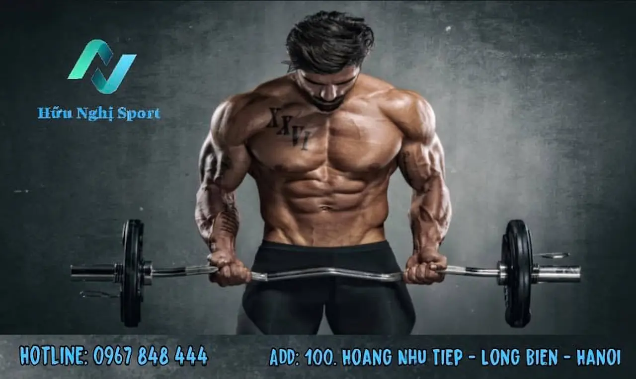 Hữu Nghị Sport 1 Shop Chuyên Cung Cấp Các Sản Phẩm Thể Thao Như: Giàn Tập Tạ Đa Năng, Bao Đấm, Máy Chạy Bộ, Xe Đạp Thể Thao, Setup Phòng Gym Chuyên Nghiệp