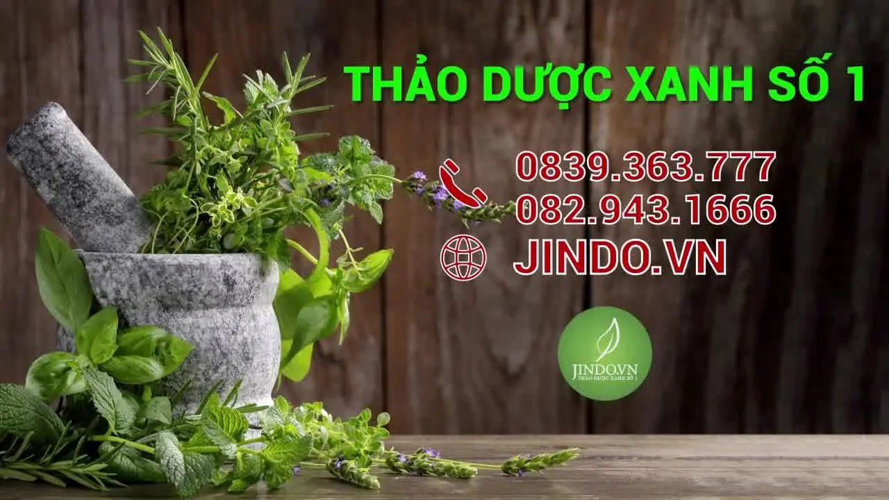 JINDO Thảo Dược Xanh Số 1 Là Website Của Nhà Thuốc Nam Dược Xanh – Trần Gia Uy Tín Bí Truyền 400 Năm