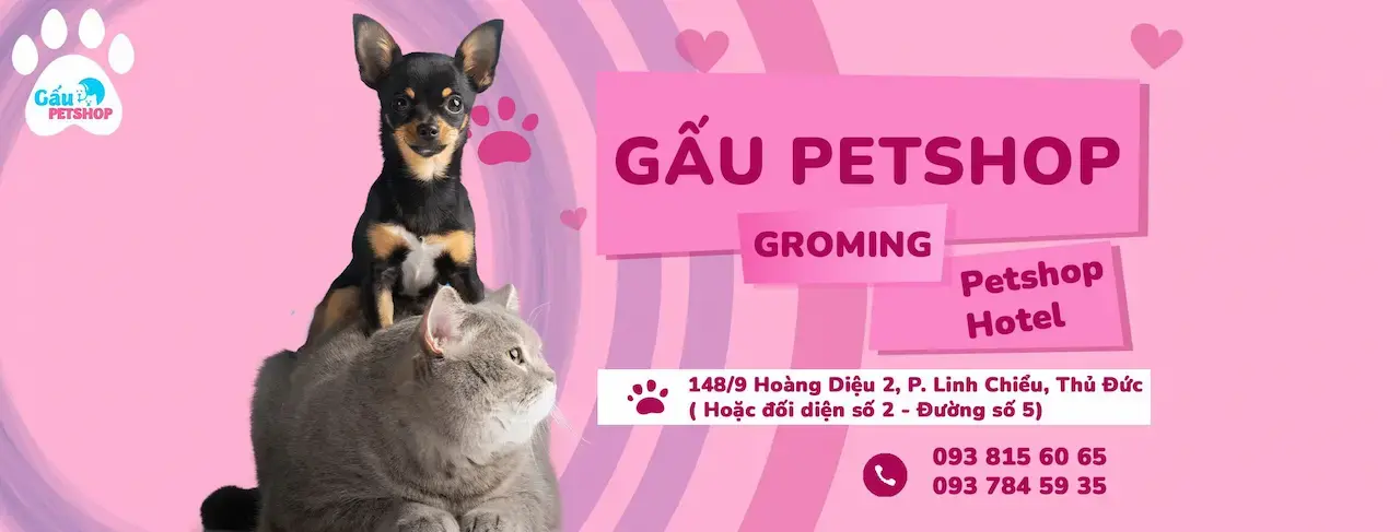 Gaupetshop2018 Gấu Petshop Chuyên Thức Ăn – Phụ Kiện Cho Thú Cưng Dịch Vụ Grooming – Hotel Thú Cư